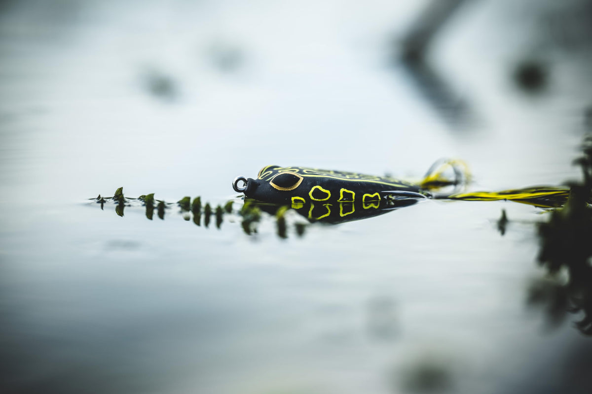Berkley Swamp Lord Hollow Body Frog
