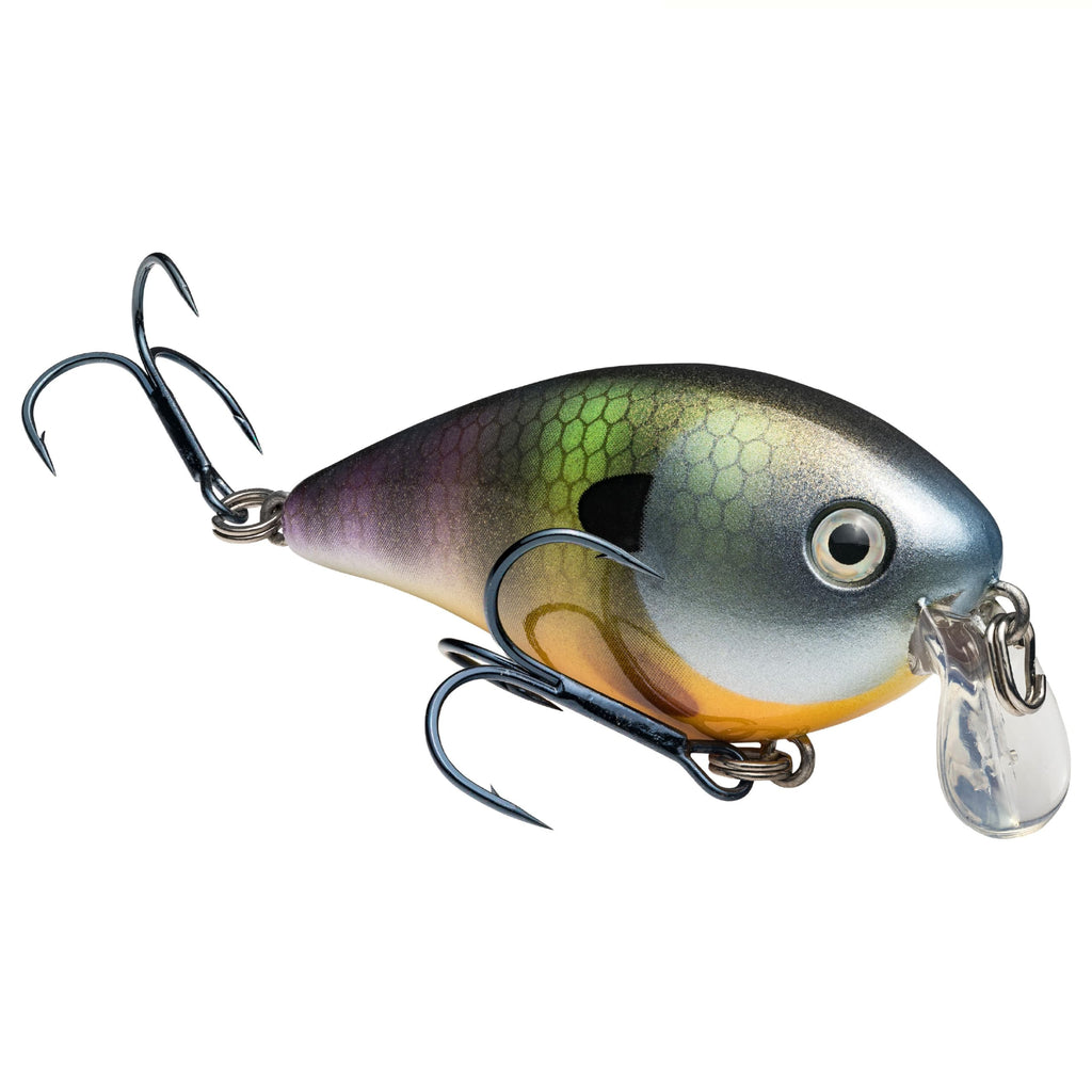 Strike King KVD 1.5 Shallow Square Bill Crankbait