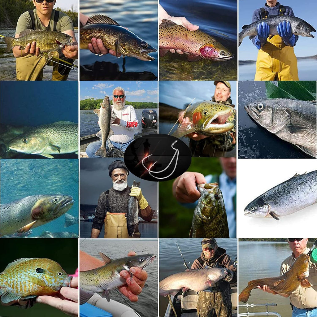 Afmivs Bass Worm Hooks 110-Pack (6 Sizes)