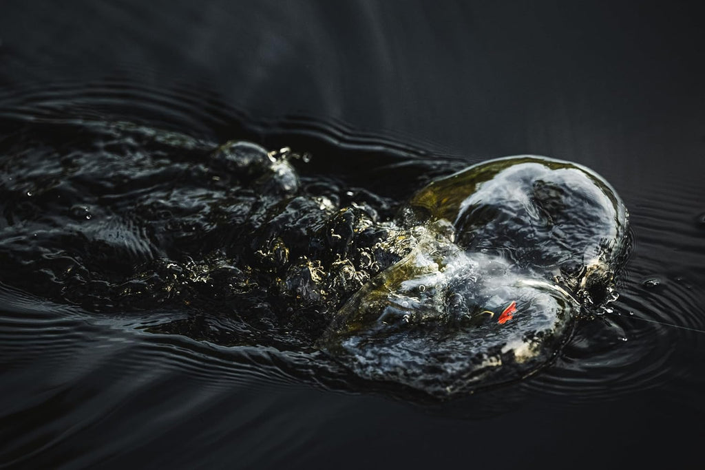 Berkley Swamp Lord Hollow Body Frog