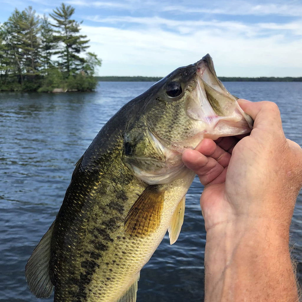 KastKing Ned Rig Jig Heads for Bass Fishing